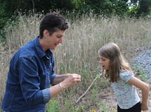 Johnson City Parks and Recreation naturalist Connie Deegan shows Elsja Fee, 9, a fingernail-sized toad found in the Sinking Creek wetland. (Photo by Jeff Keeling)