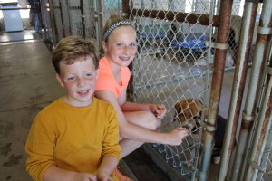 Tori Sparks, 12 and her cousin Jacob Royston, 9, with a pooch at the animal shelter. (Photo by Jeff Keeling)