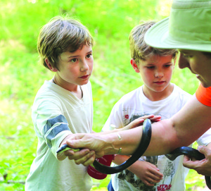 Finn Stamey looks at Deegan as if to say “are you sure this is a good idea?” as he touches the captured black rat snake and Carter Pattison looks on.