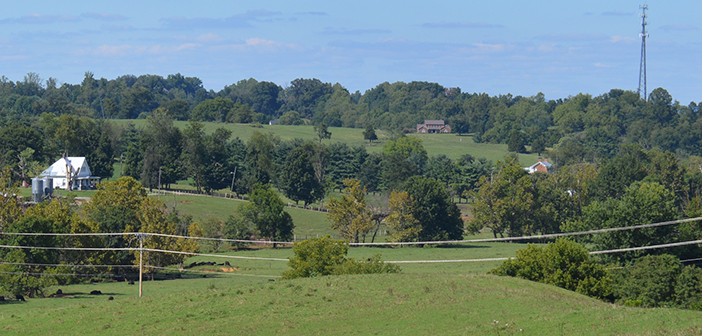 The Alex Williams property runs along the east side of Highland Church Road and the north side of Boones Creek Highway. Photos by Scott Roberston