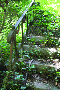 Time and neglect have taken their toll, though perhaps not irredeemably, on the gardens. Photo by Jeff Keeling
