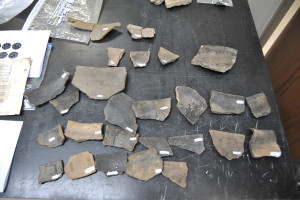 All the analysis of the pottery fragments recovered from Cane Notch has been completed, and Franklin believes the pieces that date back to the middle-1500s anticipate the Overhill Cherokee pottery that became prevalent a century or two later. PHOTO BY DAVE ONGIE