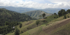The mountains in Haiti look a lot like the mountains of East Tennessee aside from the deeply rutted dirt roads and the tropical heat.