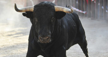 The bull run in Spain, or why they are having problems with their economy